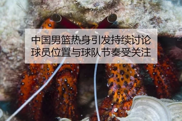 中国男篮热身引发持续讨论 球员位置与球队节奏受关注